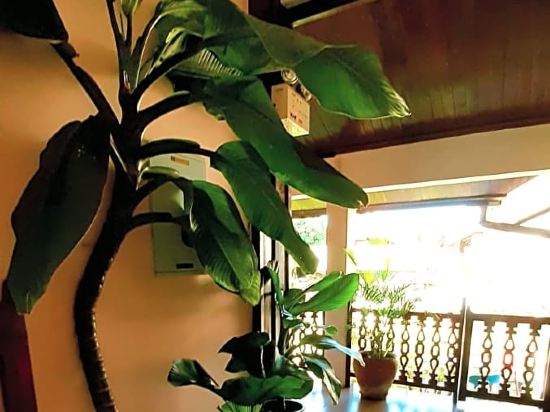 Фото Pakhongthong Villa