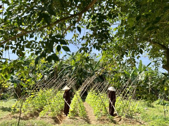 Фото Hue Ecolodge