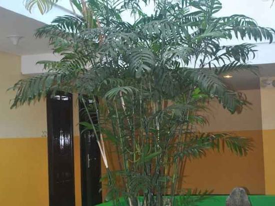 Фото Go Hotels Tacloban