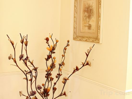 Фото Hotel San Giusto