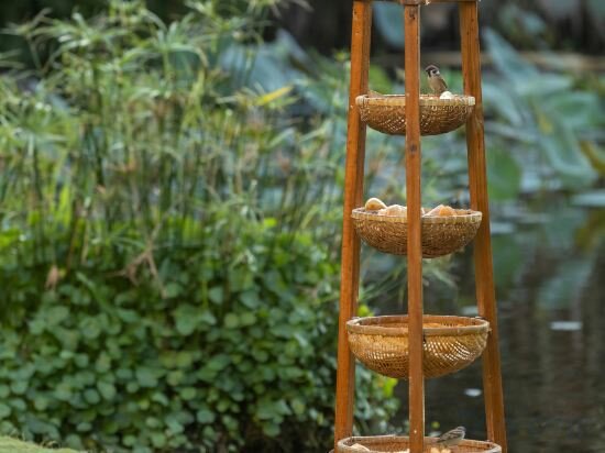 Фото Anantara Mui Ne Resort