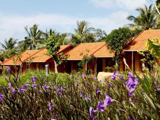 Фото Daisy Resort