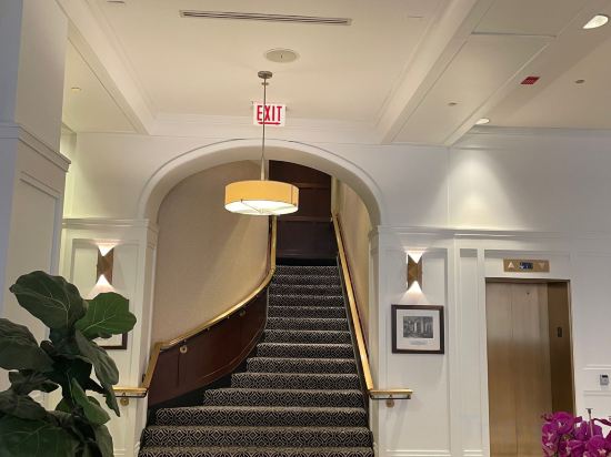 Фото Warwick Allerton - Chicago