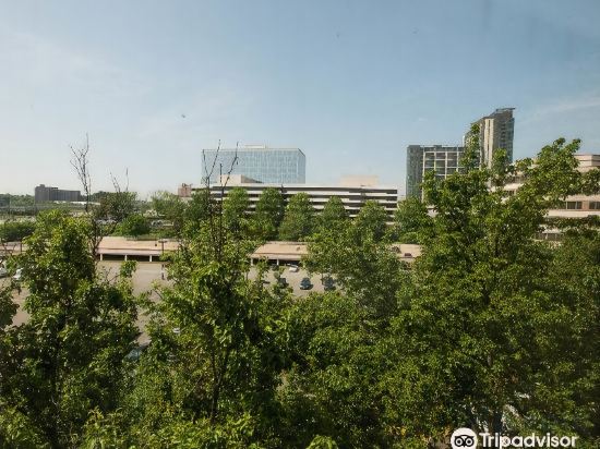 Фото Hilton McLean Tysons Corner