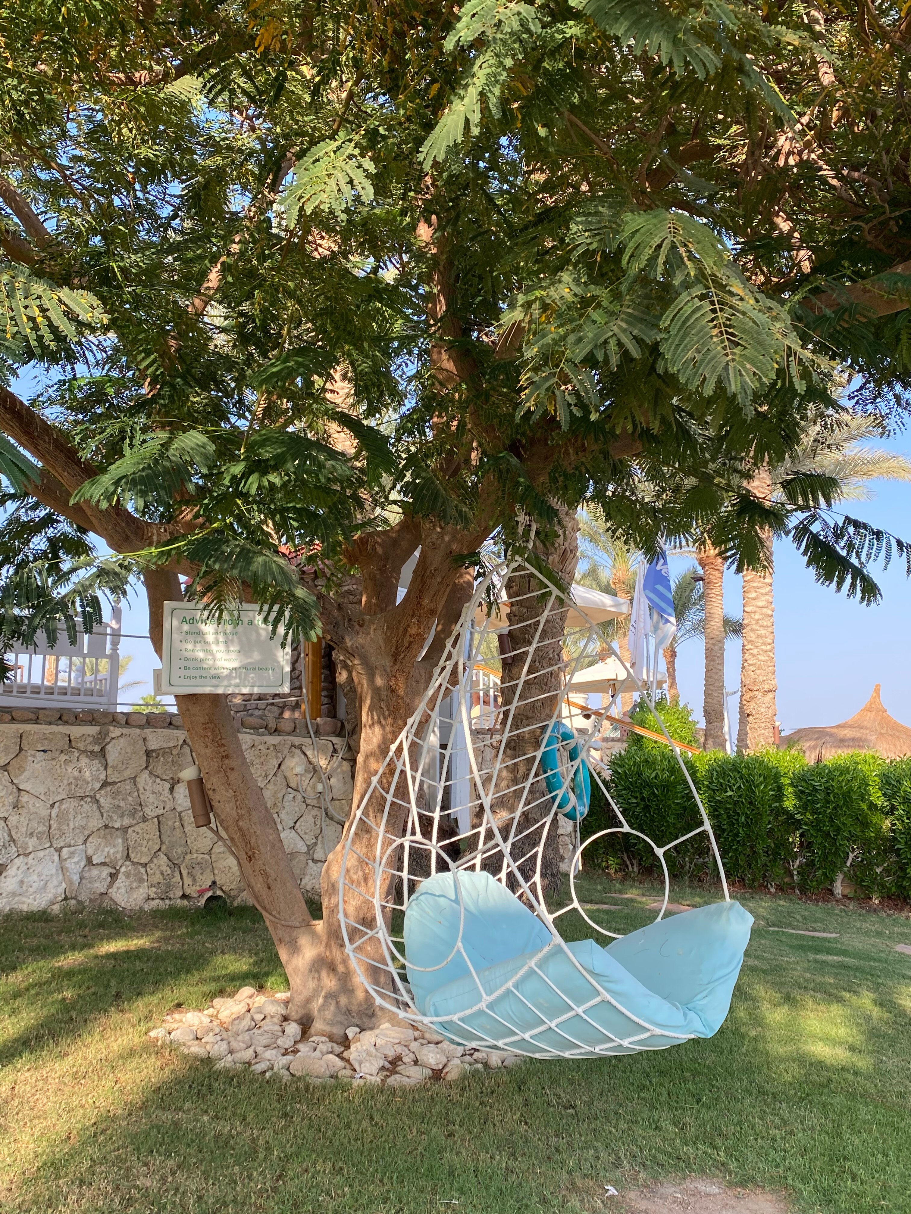 Фото Sharm Club Beach Resort