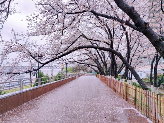 Фото 137427383647