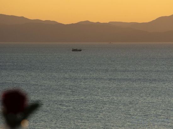 Фото Shenzhen White House Seaview Resort Hotel