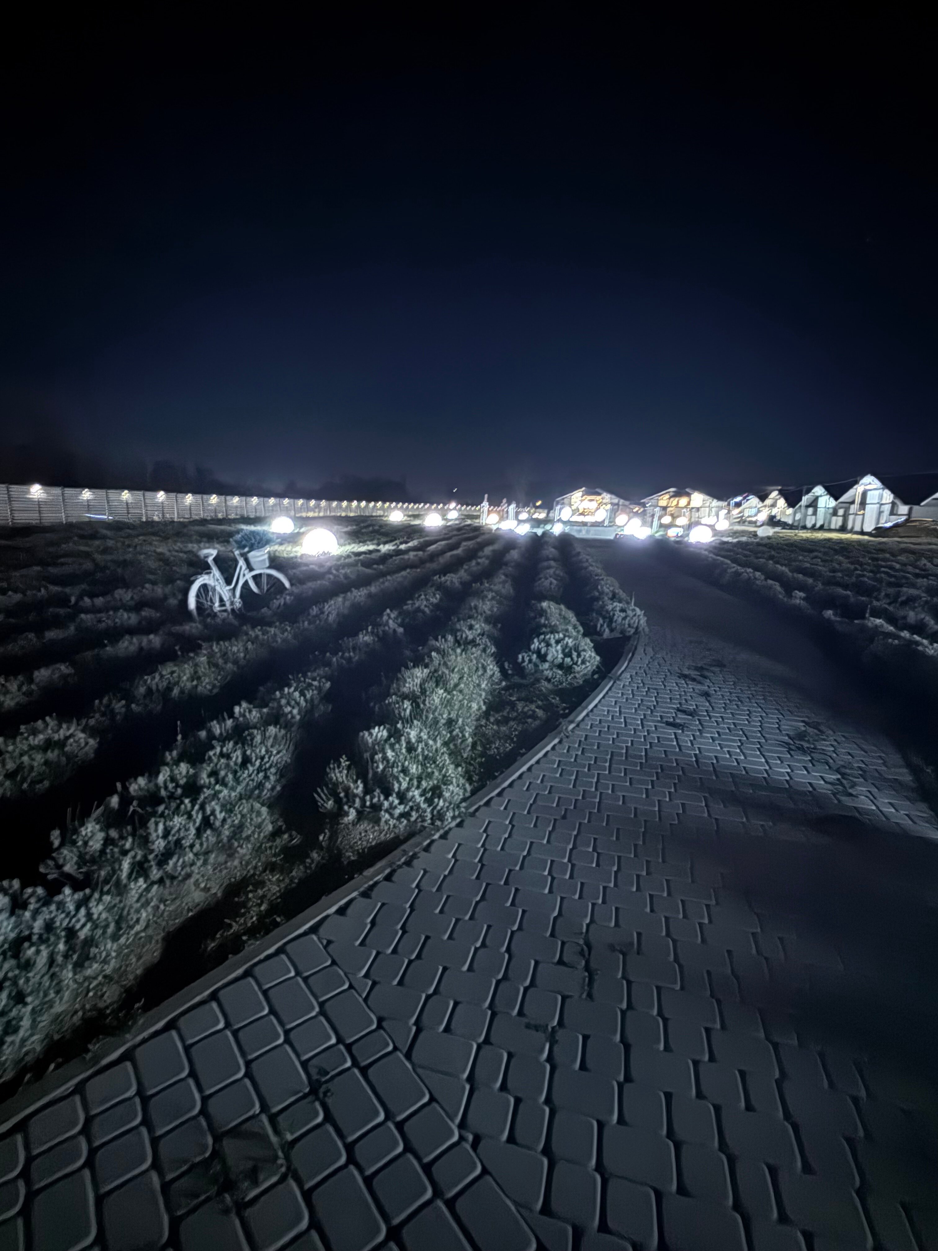 Фото Red Bridge Resort relax&spa