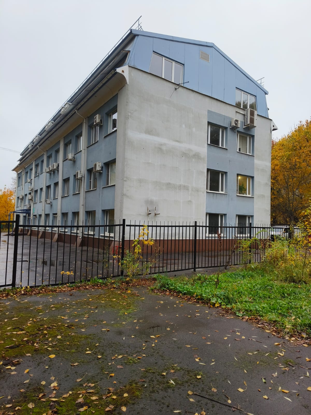 Фото Ботаник Life