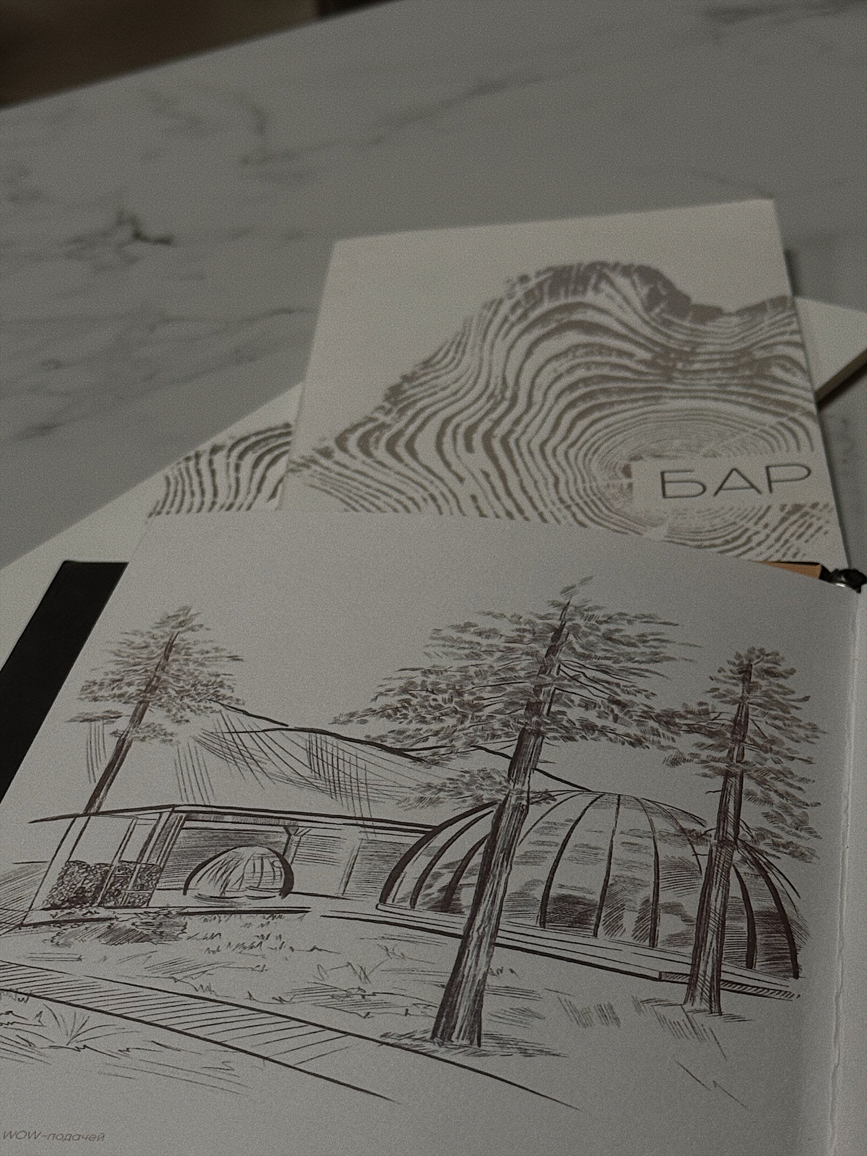 Фото Pinewood Resort&spa