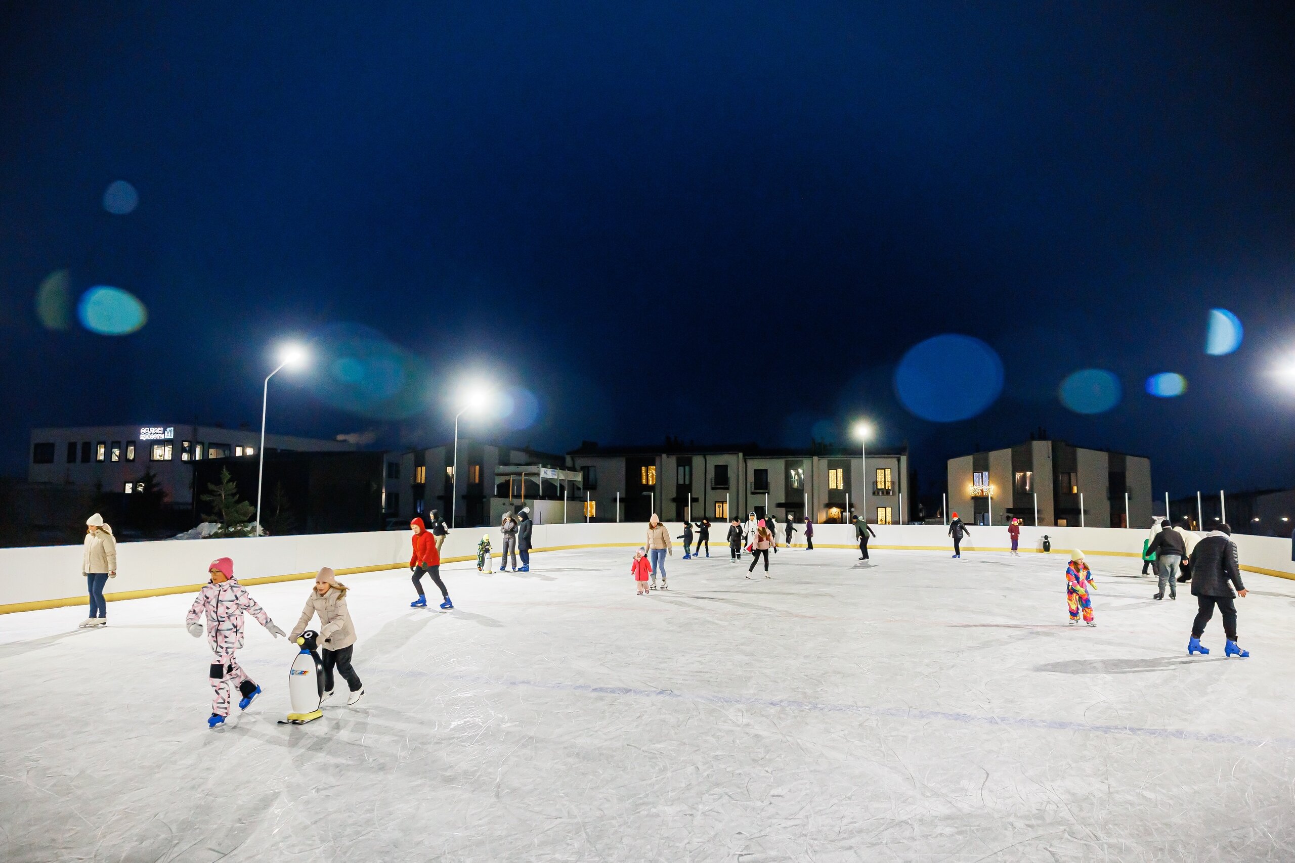 Фото Romanovo Hotel