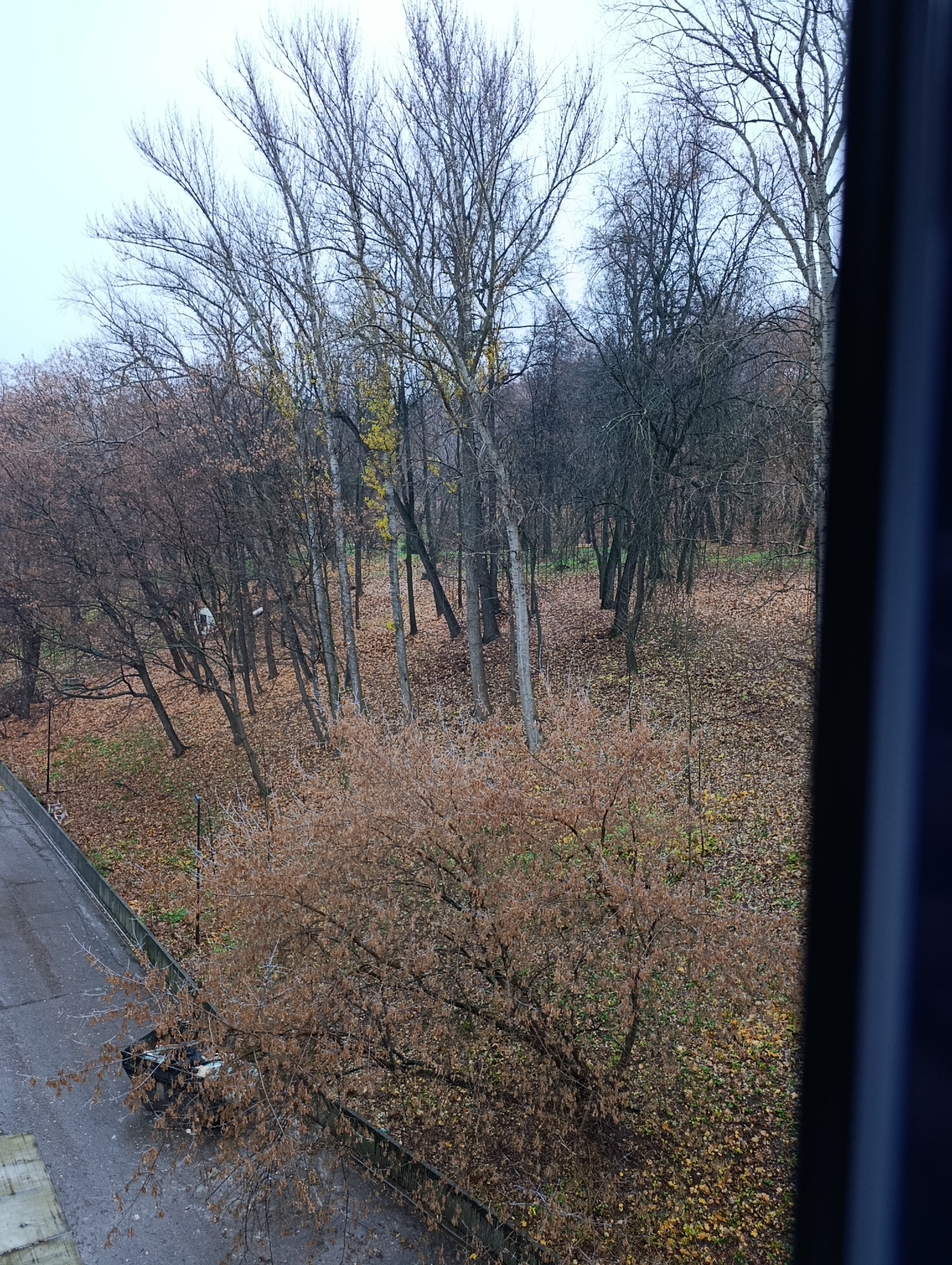 Фото Александровский сад