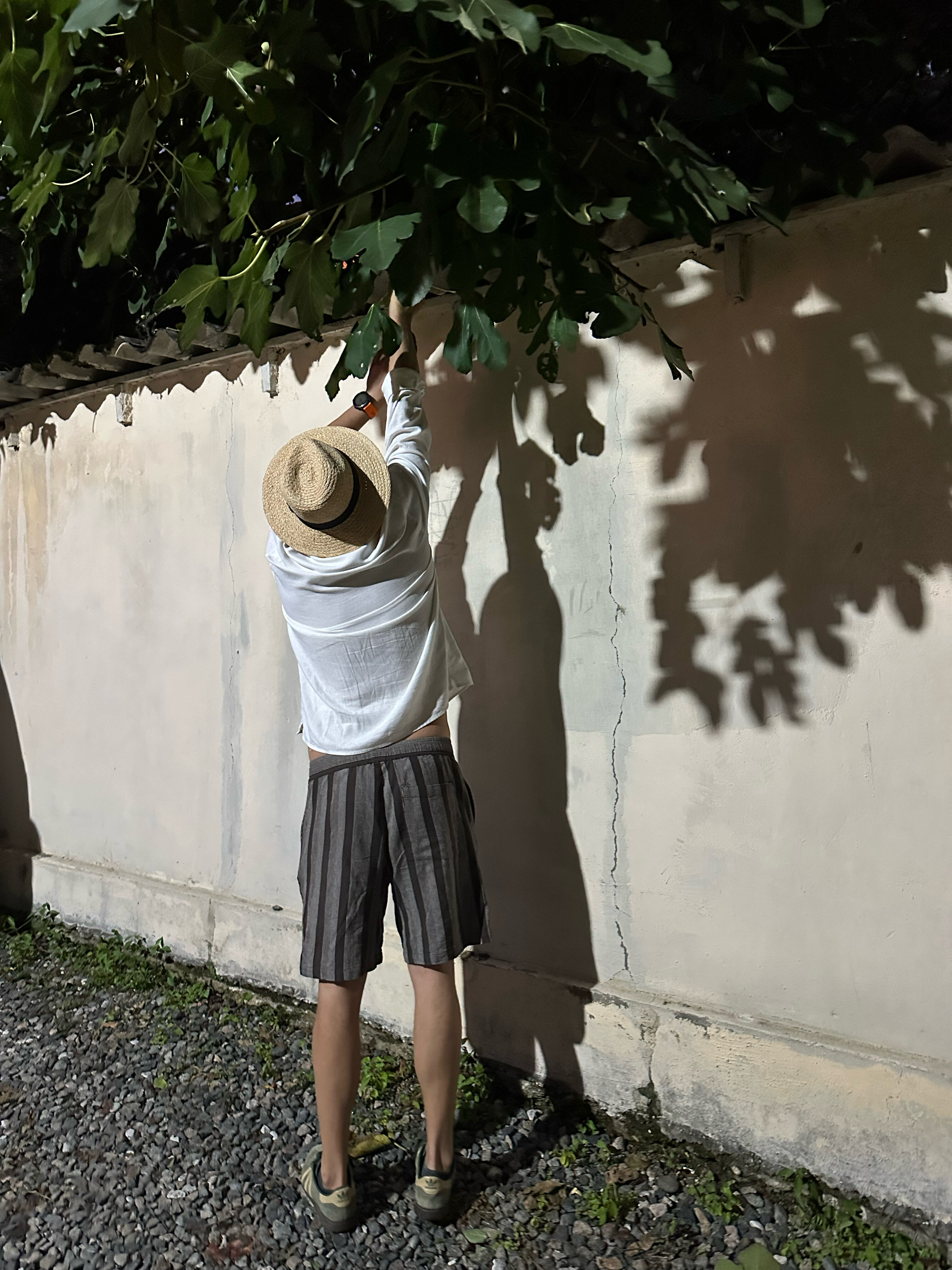 Фото Каракас