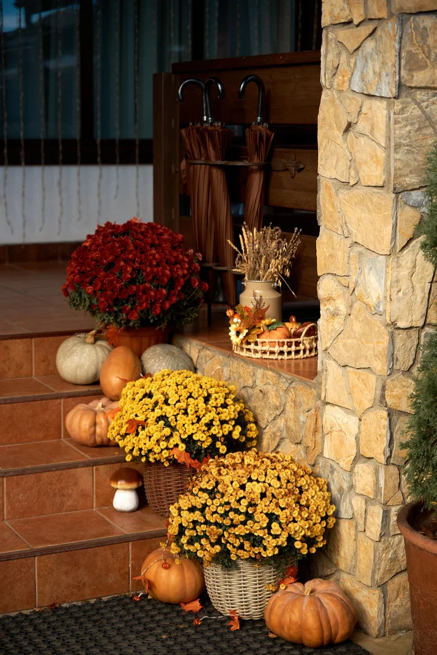 Фото Усадьба Парфенова