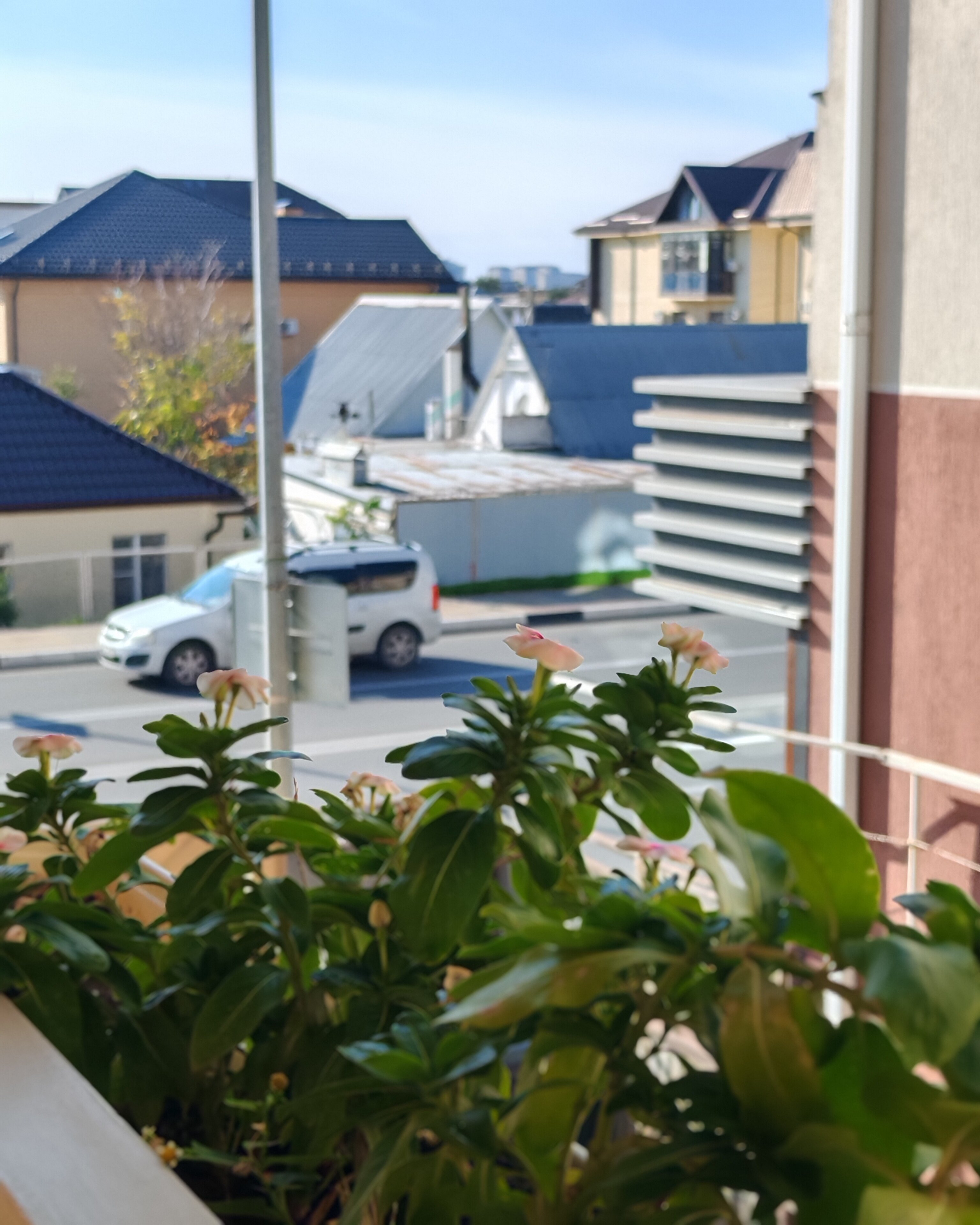 Фото Белый Фламинго