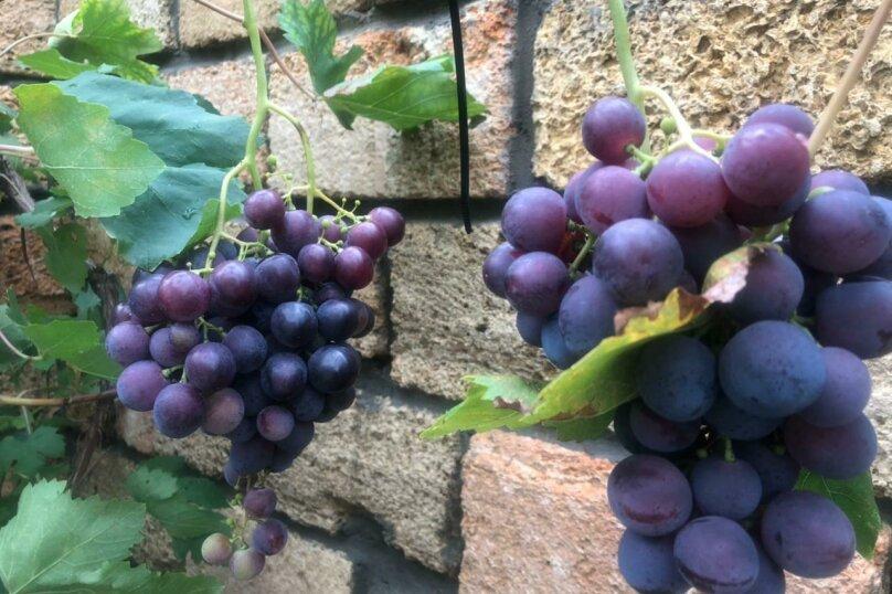 Фото Вилла Лаванда