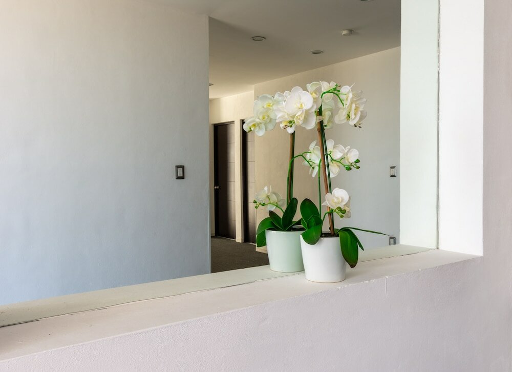 Фото Mexico Inn Express Salamanca