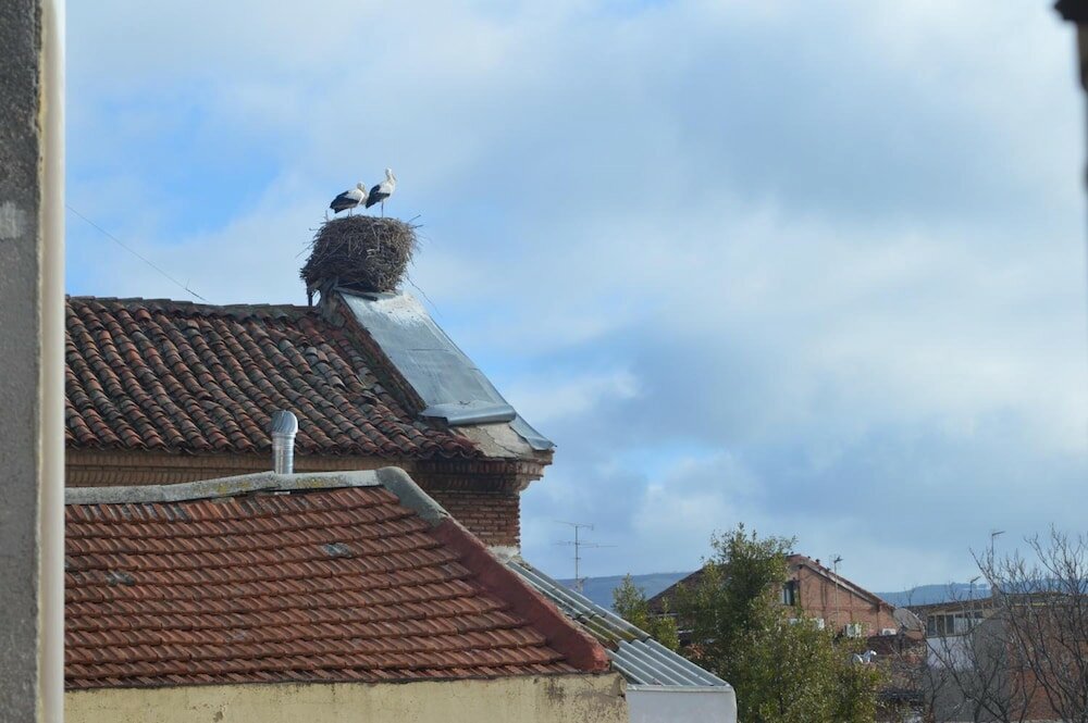 Фото Miguel de Cervantes