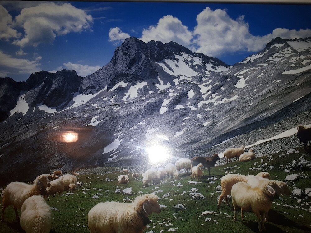 Фото Gasthof zum Rassen