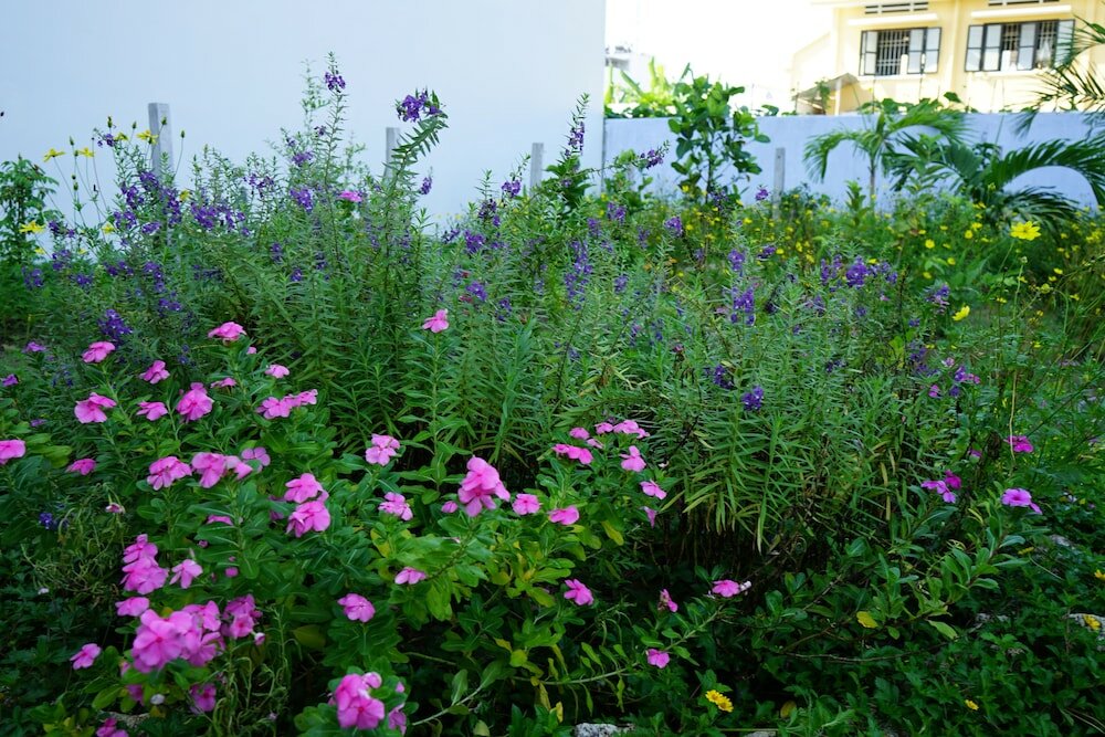 Фото SeaSing Boutique Hotel