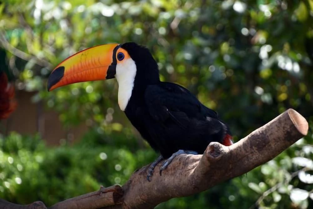 Фото Shanghai Vintage Hotel Disneyland Branch