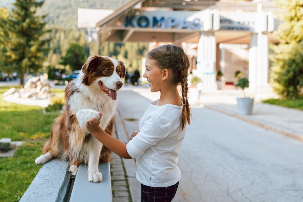 Фото Hotel Kompas