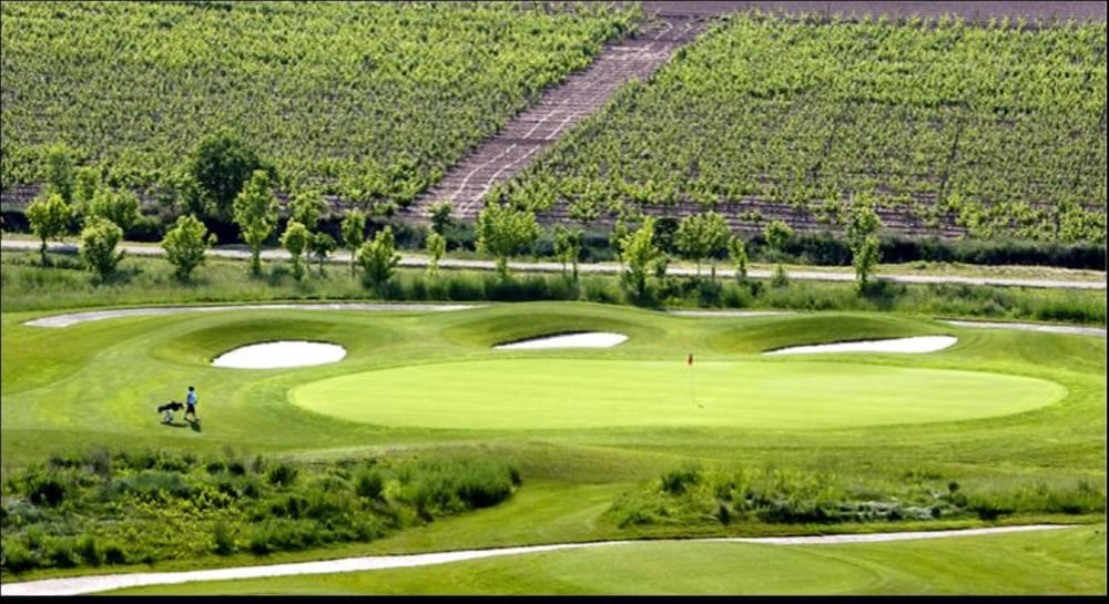 Фото Hotel Logroño Parque