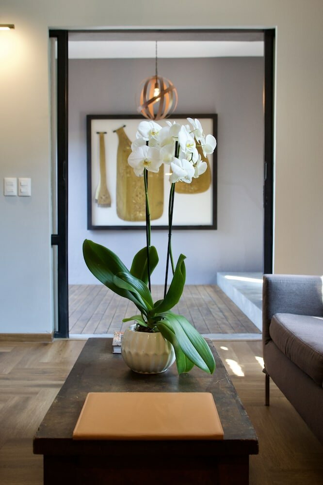 Фото 37870440053