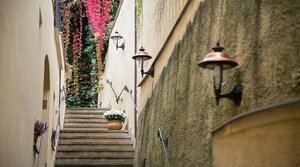 Гостиница The Golden Wheel