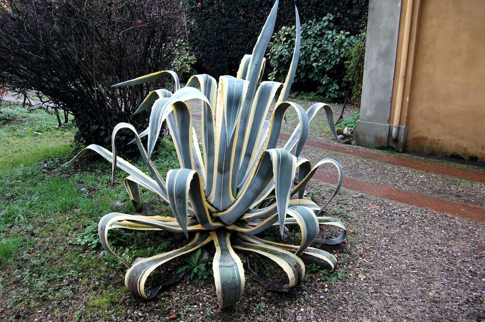 Фото B&b Antica Piazza dei Miracoli