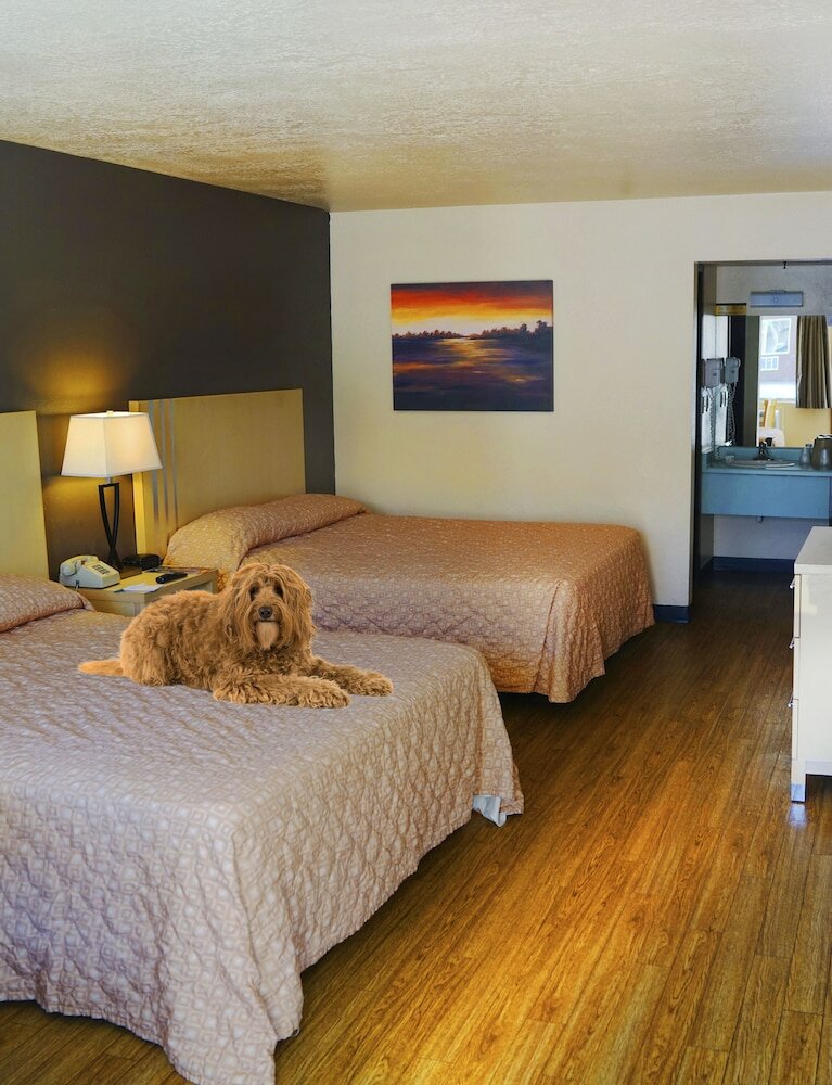 Фото Virgin River Hotel and Casino