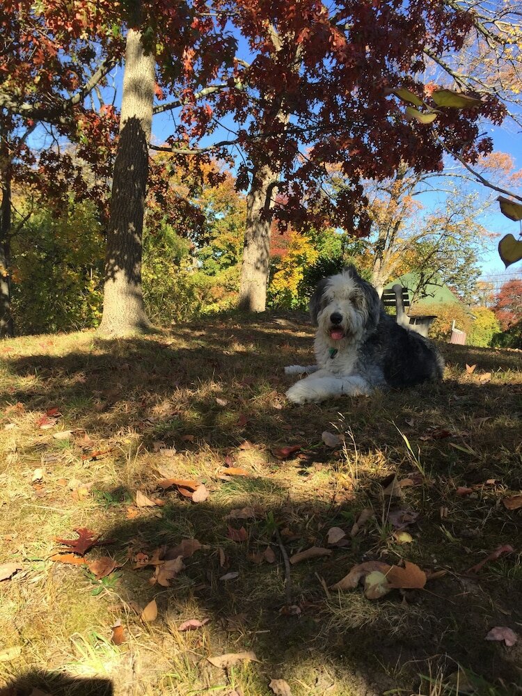Фото Colts Neck Inn Hotel