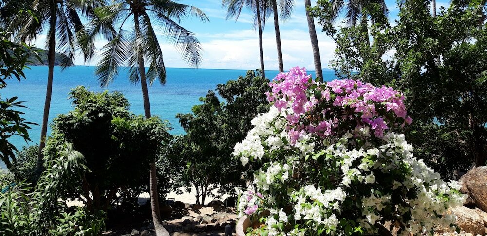 Фото Padel Phangan Suite