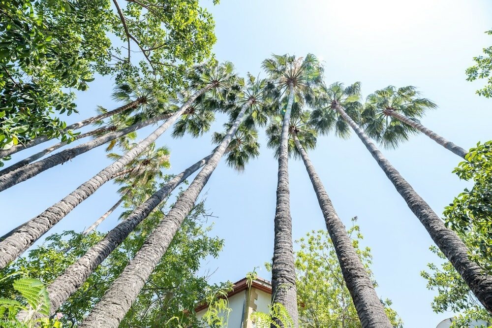 Фото Riverside Garden Resort