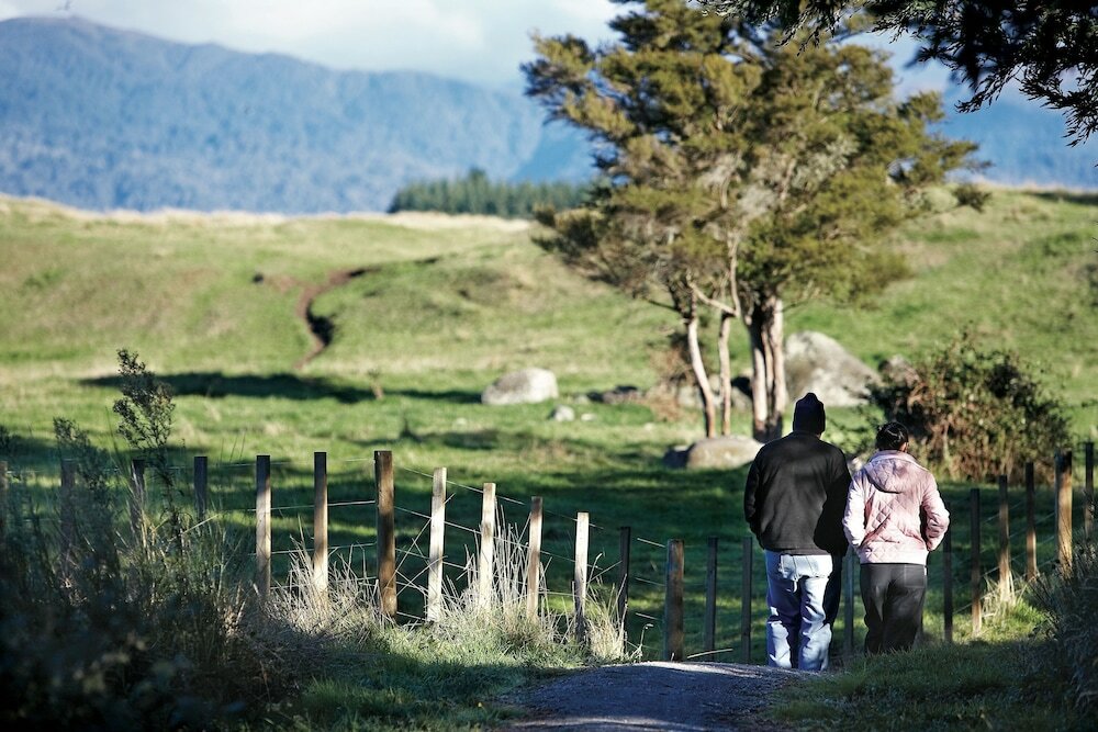 Фото River Birches
