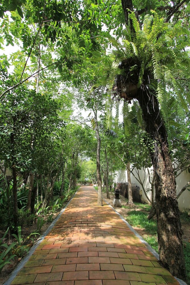 Фото Saree Samui