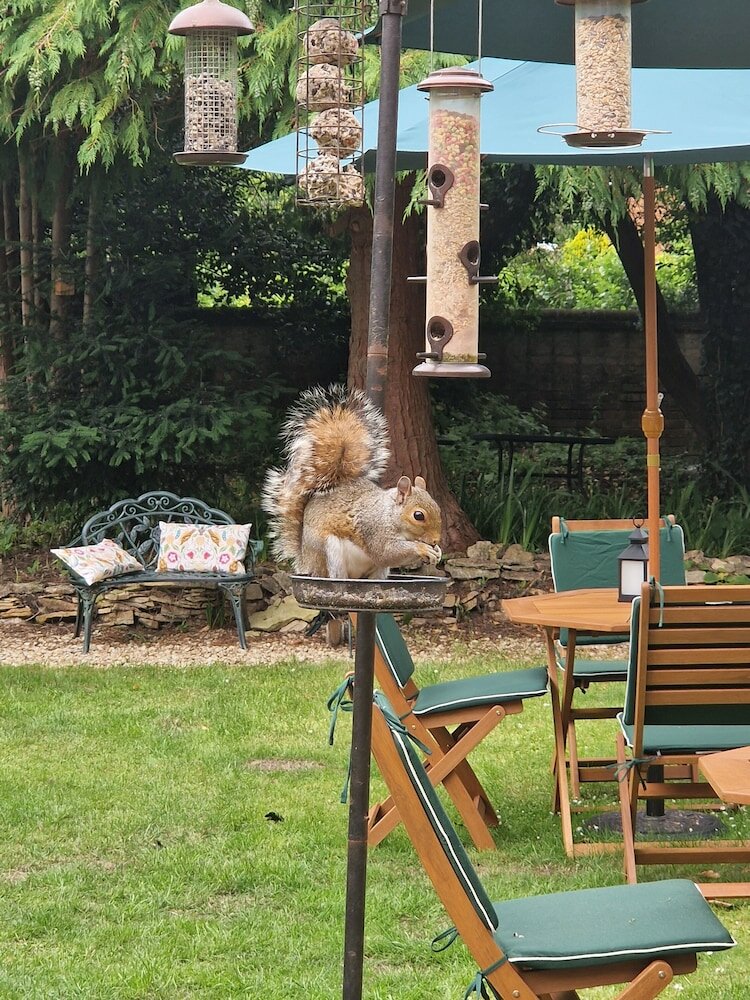 Фото St Margarets Hotel