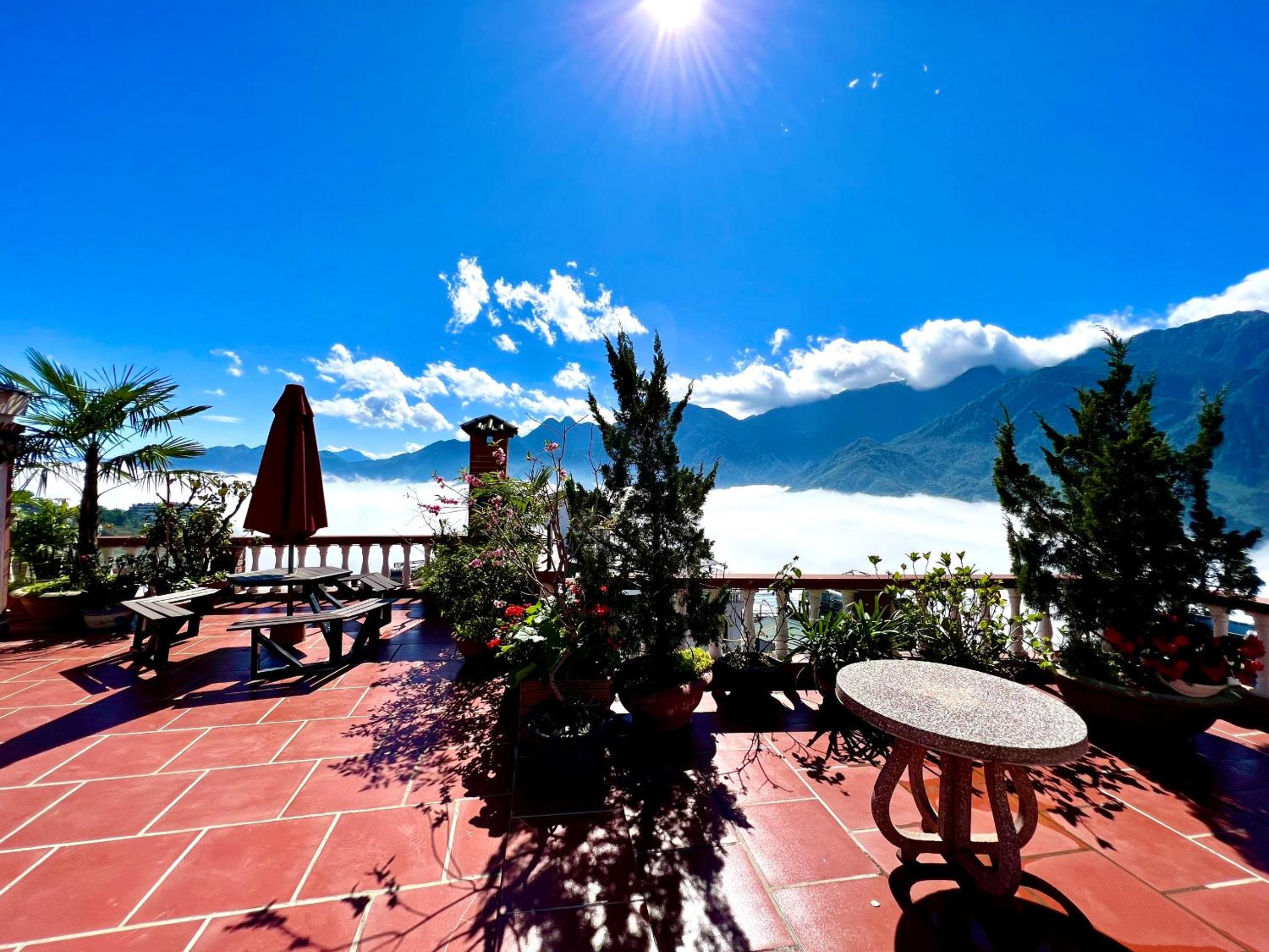 Фото Cat Cat View