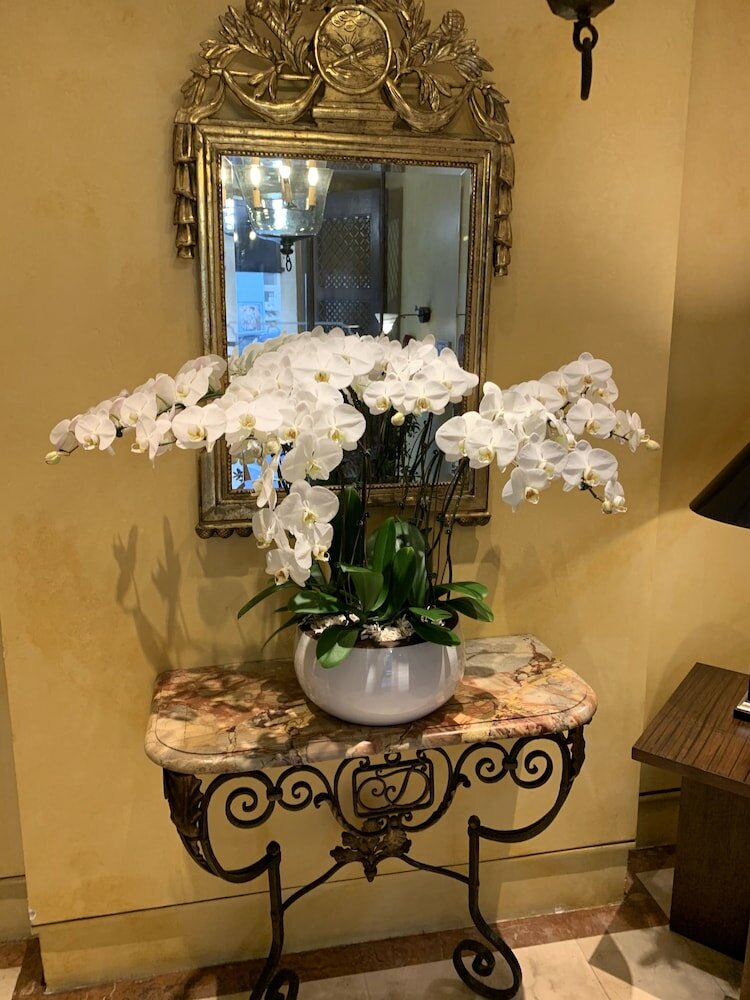 Фото Hotel Delavigne