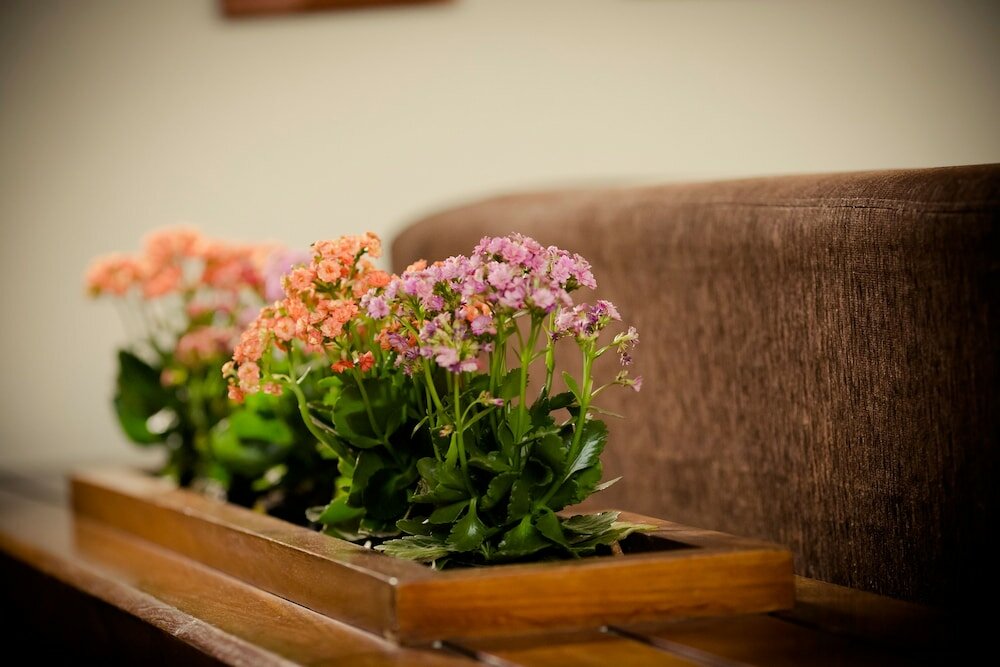 Фото Carppa Hotel