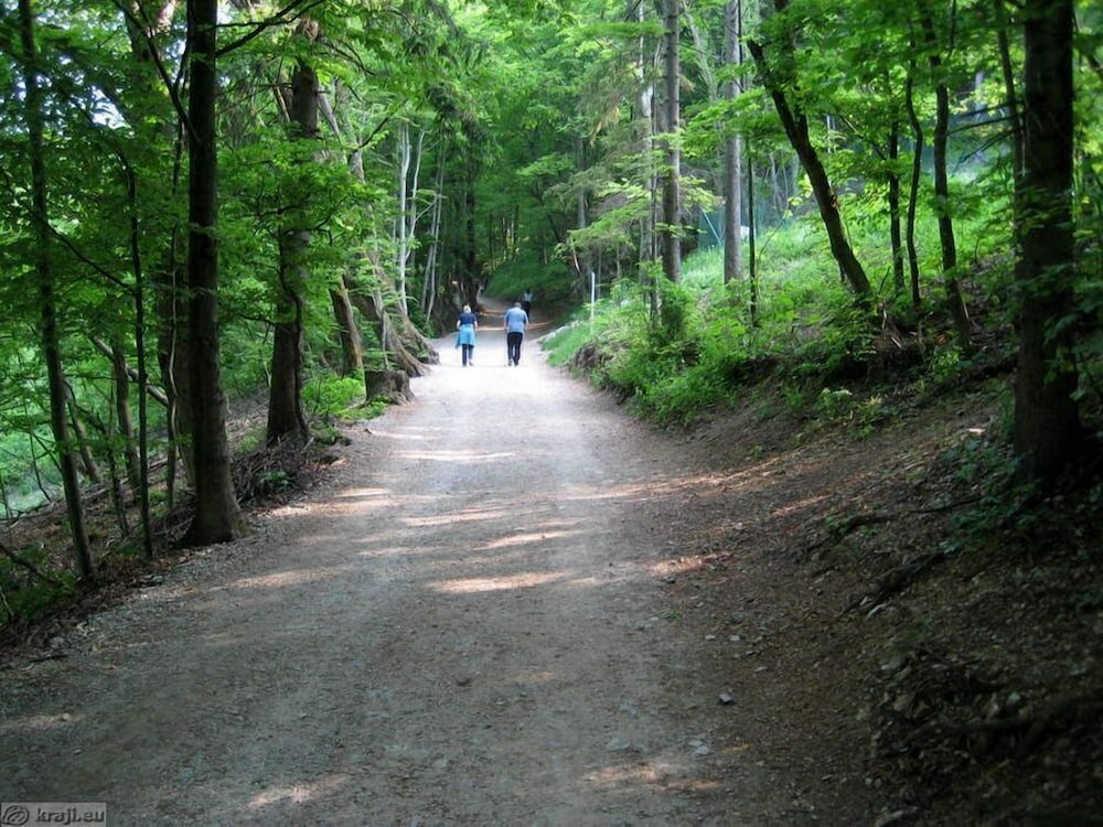 Фото B&b Dvor Tacen