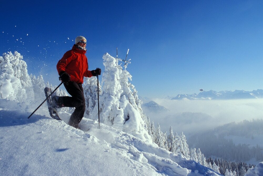 Фото Renaissance Lucerne Hotel