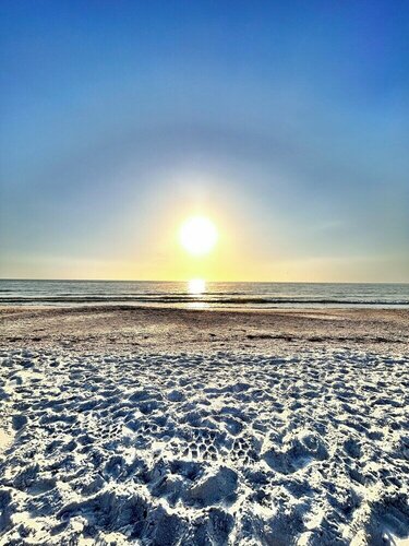 Внешний вид отеля Inn on the Beach в Сент-Пит-Бич, фото 4