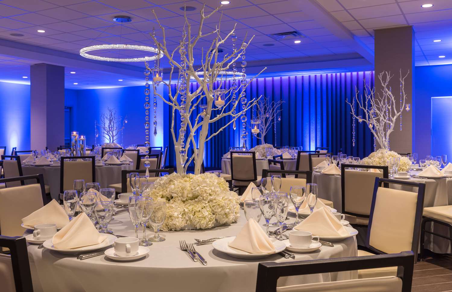 Фото Hilton Tampa Downtown