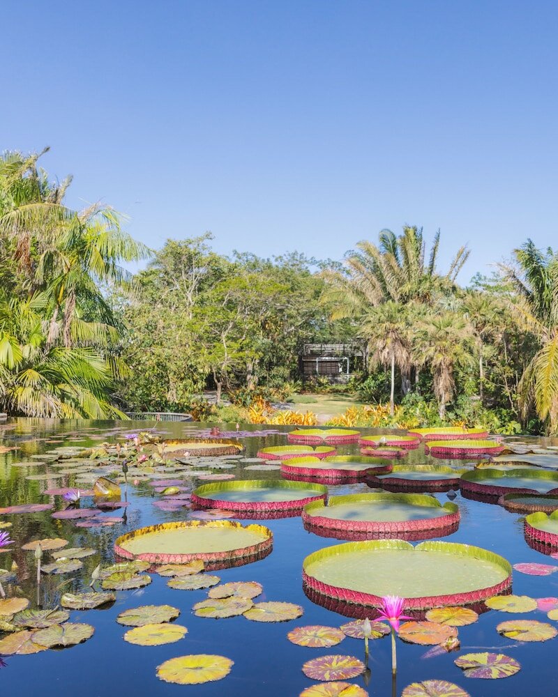 Фото Naples Beach Hotel and Golf Club
