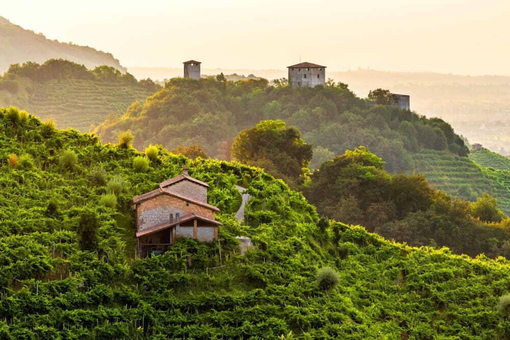 Фото Hotel Contà