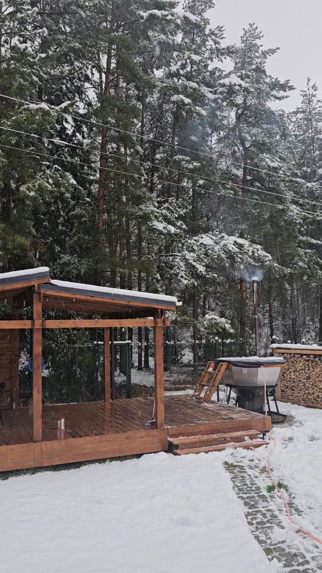 Фото Листья