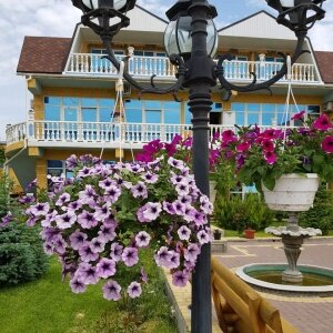 Фото Марсель