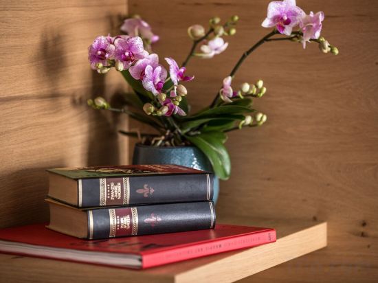 Фото Das Aunhamer Suite & SPA Hotel