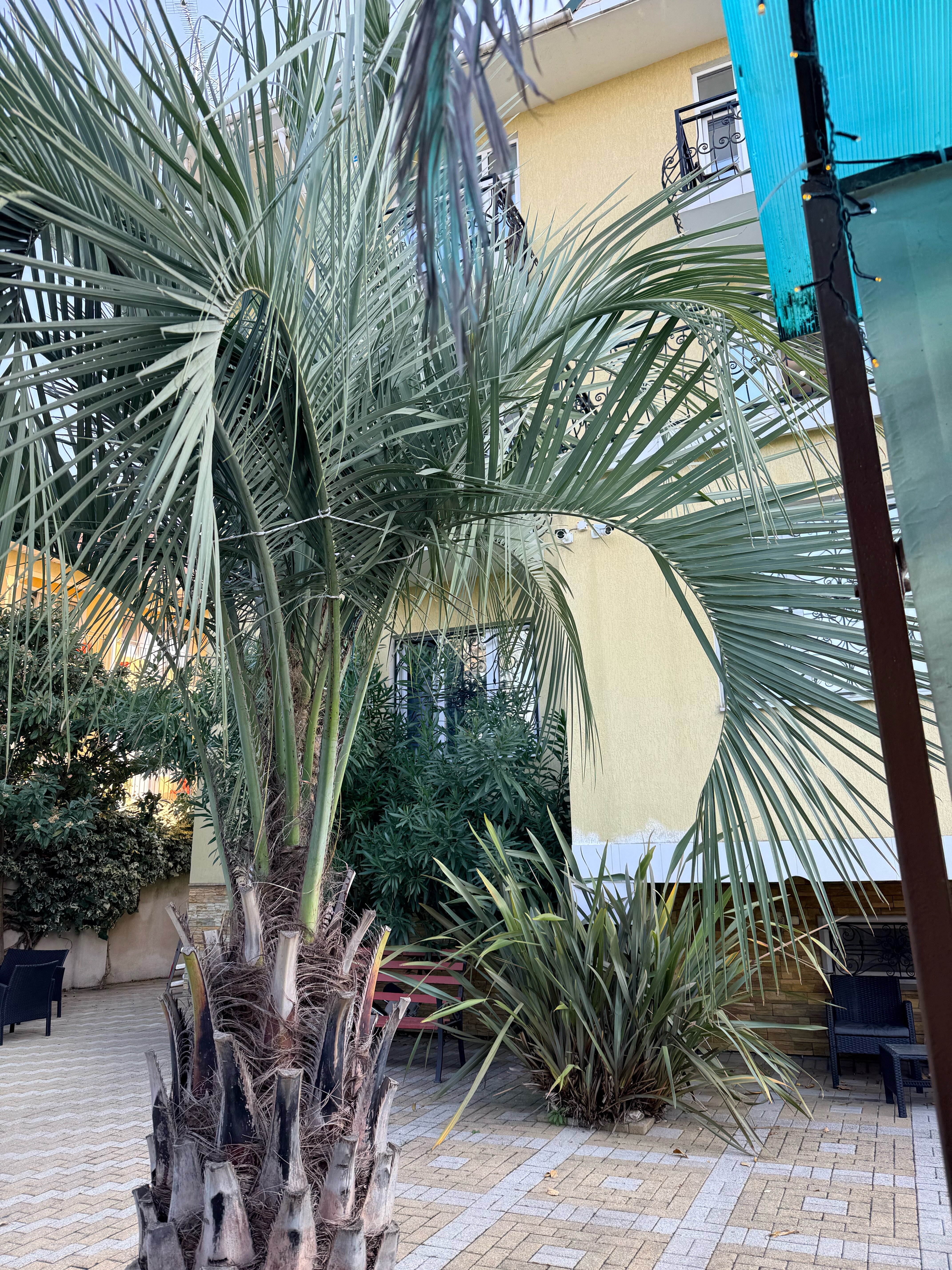 Фото Ренессанс